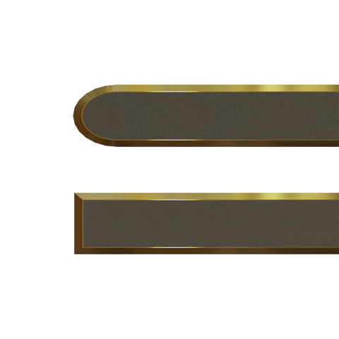 Brass Close Up Tactile Strips Black Insert